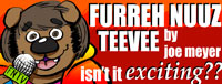 FNTVbanner